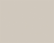 Супер мат PST Серая глина - нет в каталоге с февраля 2025