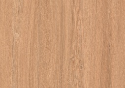 Дуб Мичиганский