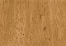 Дуб Винчестер - нет в каталоге с июня 2025