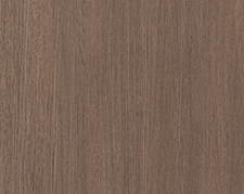 Дуб скальный кофейный