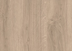 Орех лучистый европейский