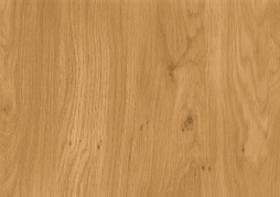 Дуб Винчестер - нет в каталоге с июня 2025