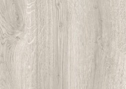 Орех лучистый серый