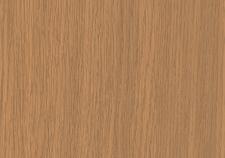 Дуб Канадский красный