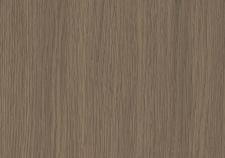 Дуб Канадский дымчатый