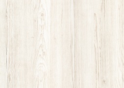 Сосна Аурелио белая